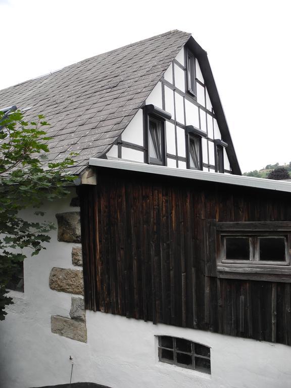Wilkenhof Διαμέρισμα Willingen  Εξωτερικό φωτογραφία