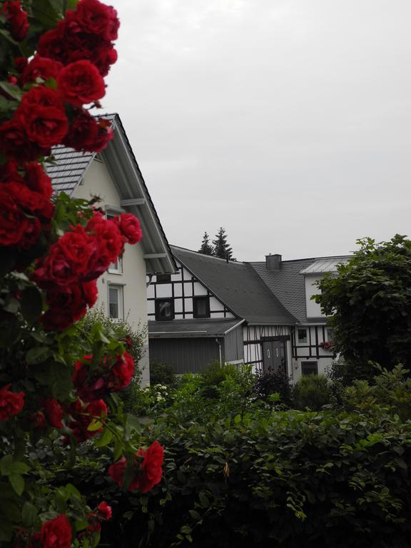 Wilkenhof Διαμέρισμα Willingen  Εξωτερικό φωτογραφία